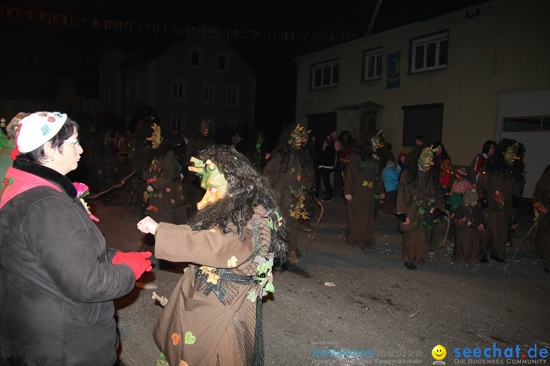 Nachtumzug - Narrentage in Orsingen-Nenzingen am Bodensee, 14.02.2014