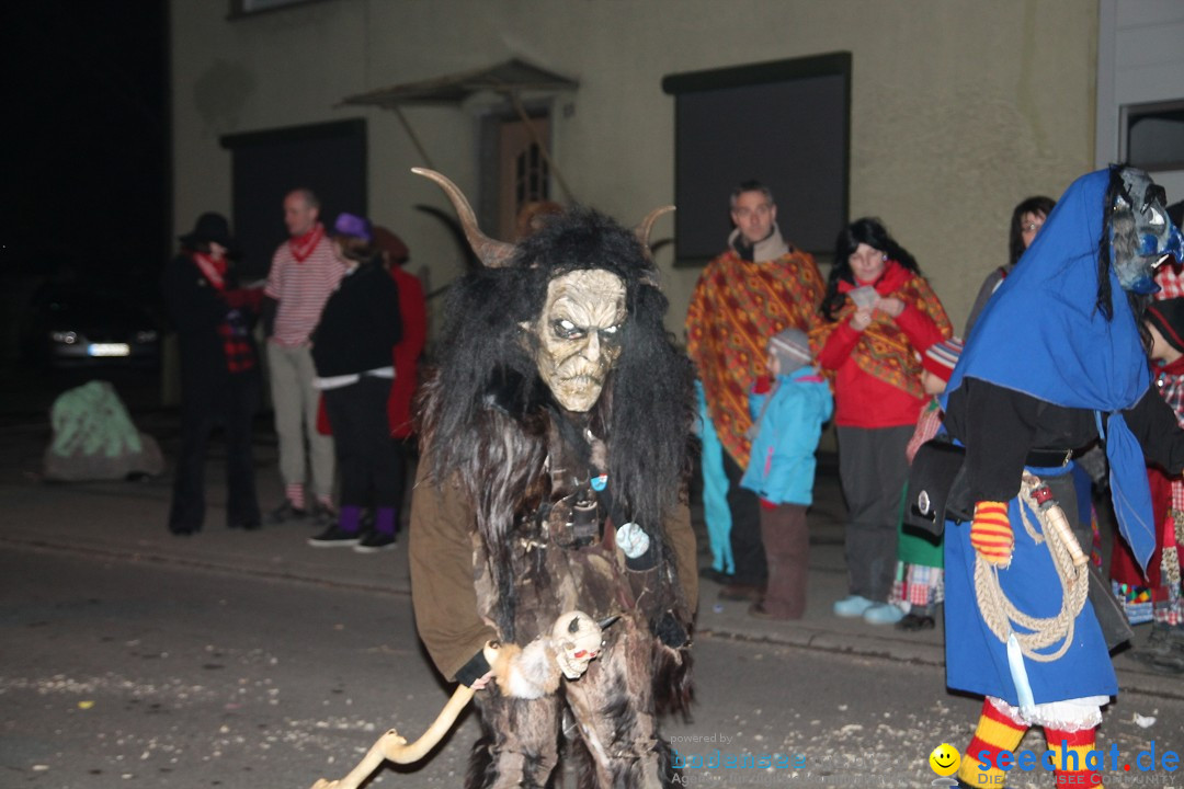 Nachtumzug - Narrentage in Orsingen-Nenzingen am Bodensee, 14.02.2014