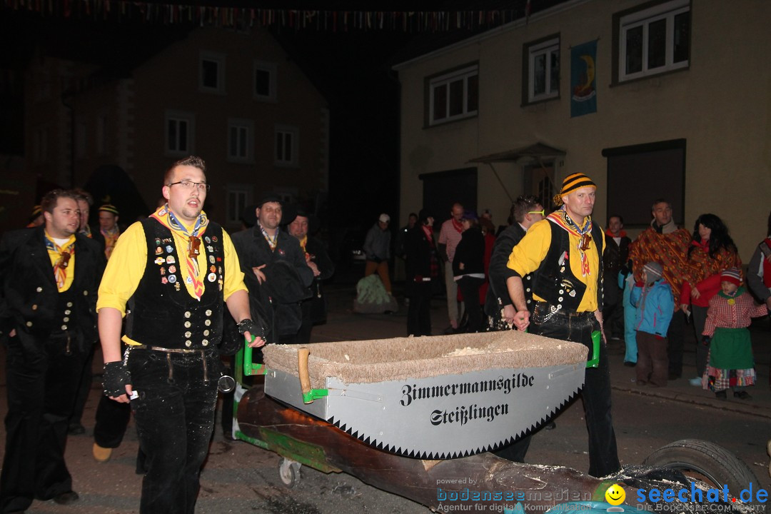 Nachtumzug - Narrentage in Orsingen-Nenzingen am Bodensee, 14.02.2014