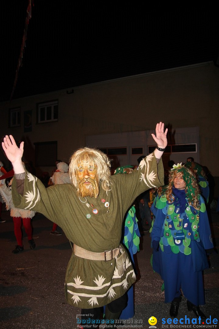 Nachtumzug - Narrentage in Orsingen-Nenzingen am Bodensee, 14.02.2014