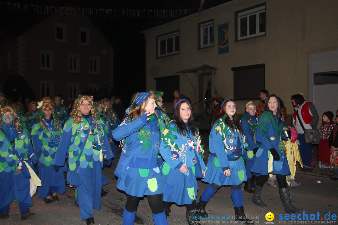 Nachtumzug - Narrentage in Orsingen-Nenzingen am Bodensee, 14.02.2014