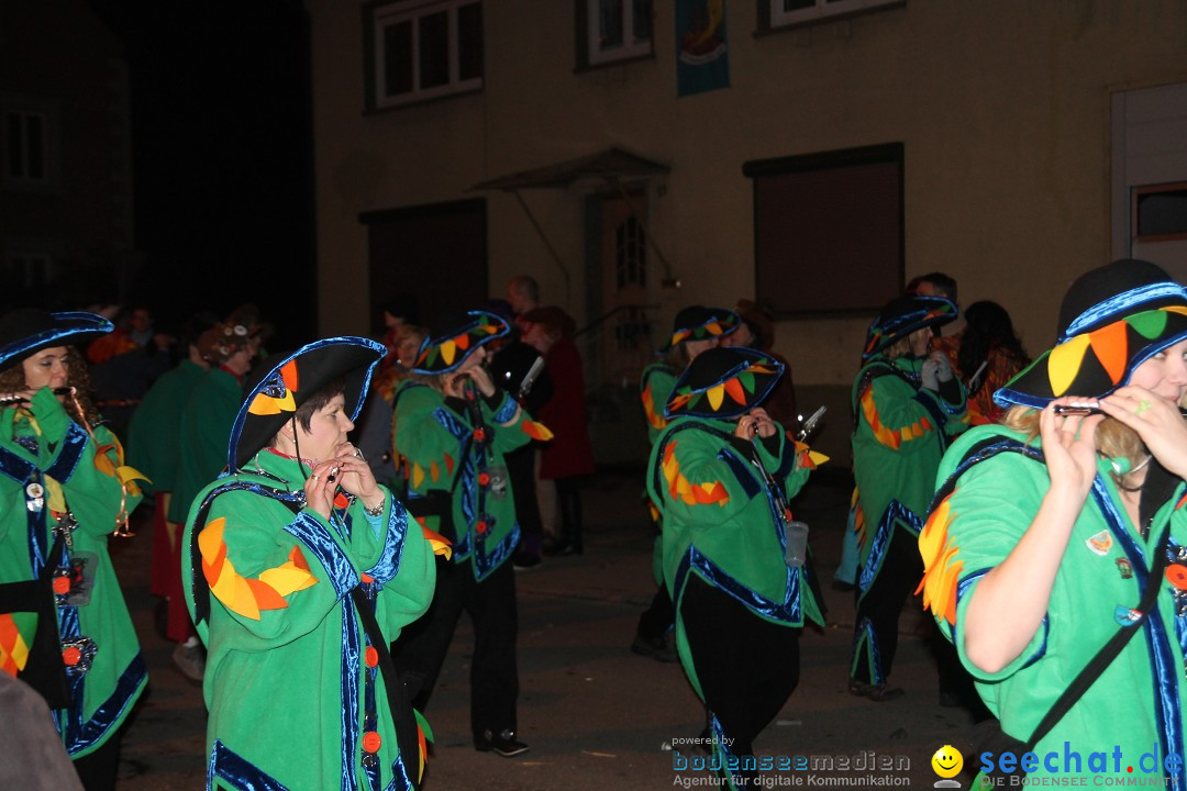 Nachtumzug - Narrentage in Orsingen-Nenzingen am Bodensee, 14.02.2014