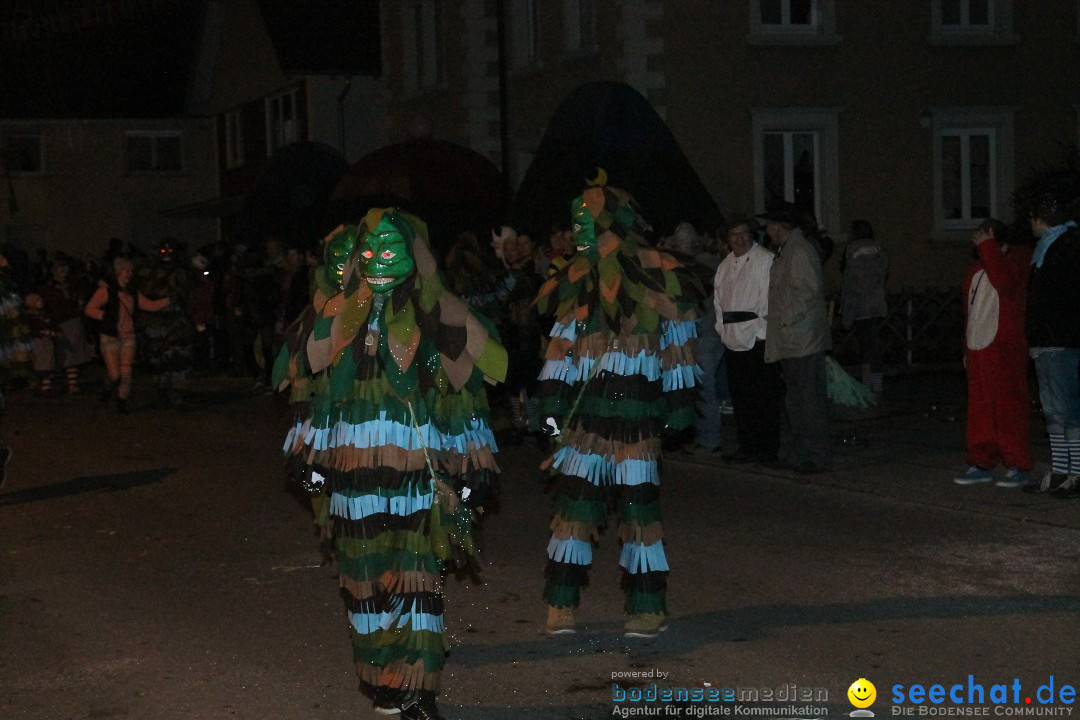 Nachtumzug - Narrentage in Orsingen-Nenzingen am Bodensee, 14.02.2014