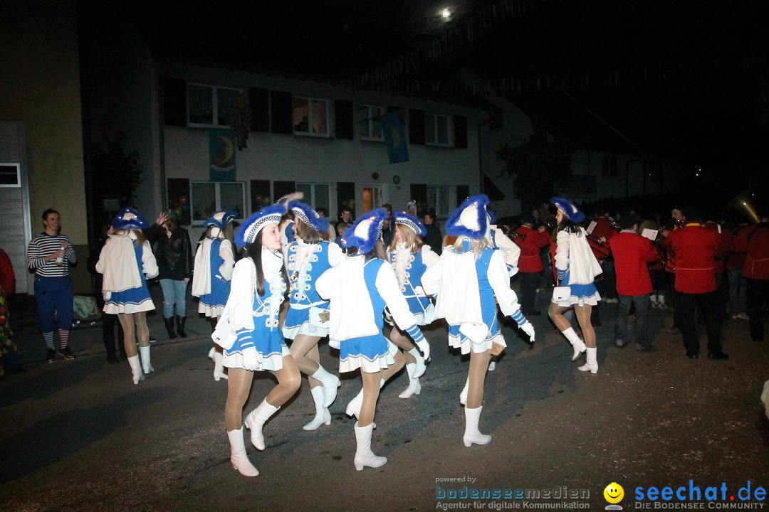 Nachtumzug - Narrentage in Orsingen-Nenzingen am Bodensee, 14.02.2014