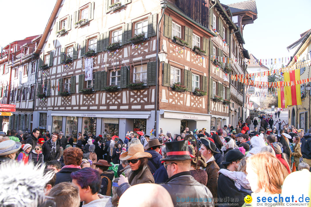 Narrensprung - Narrenbaumsetzen: Meersburg am Bodensee, 23.02.2014