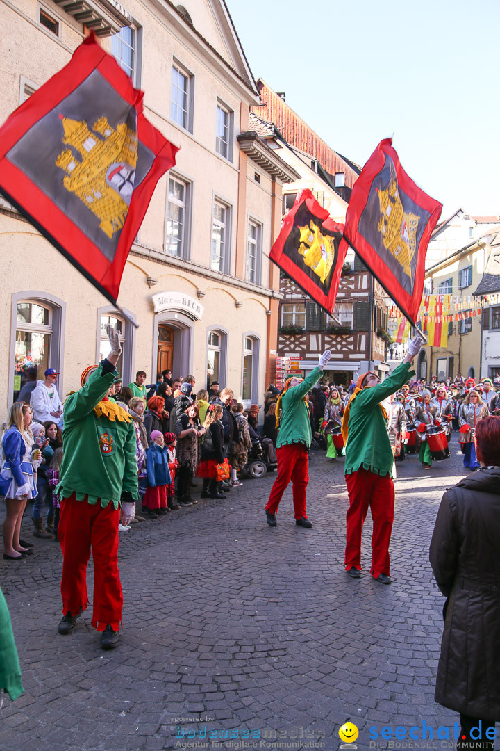 Narrensprung - Narrenbaumsetzen: Meersburg am Bodensee, 23.02.2014