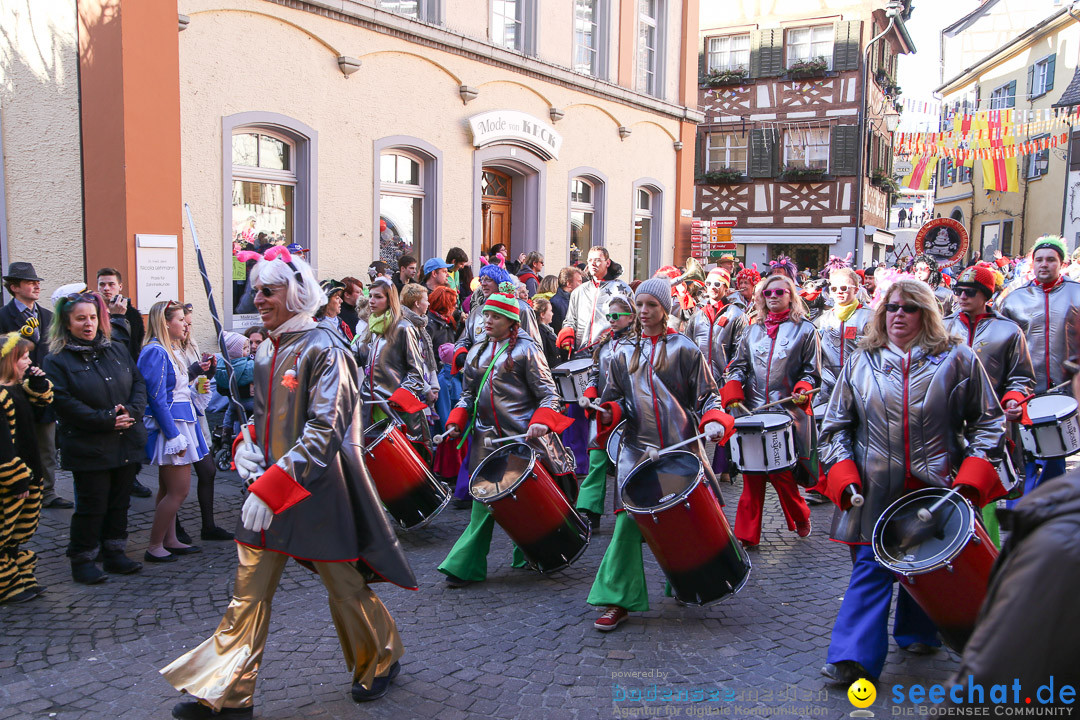 Narrensprung - Narrenbaumsetzen: Meersburg am Bodensee, 23.02.2014