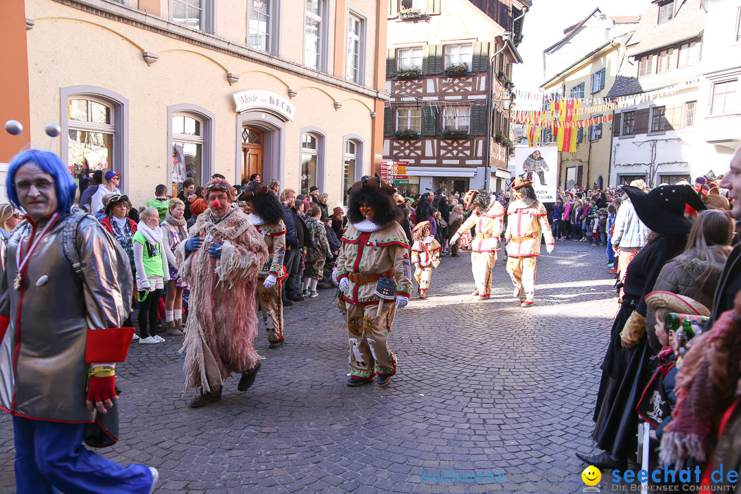 Narrensprung - Narrenbaumsetzen: Meersburg am Bodensee, 23.02.2014