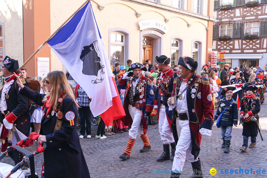 Narrensprung - Narrenbaumsetzen: Meersburg am Bodensee, 23.02.2014