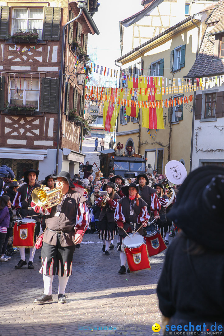 Narrensprung - Narrenbaumsetzen: Meersburg am Bodensee, 23.02.2014