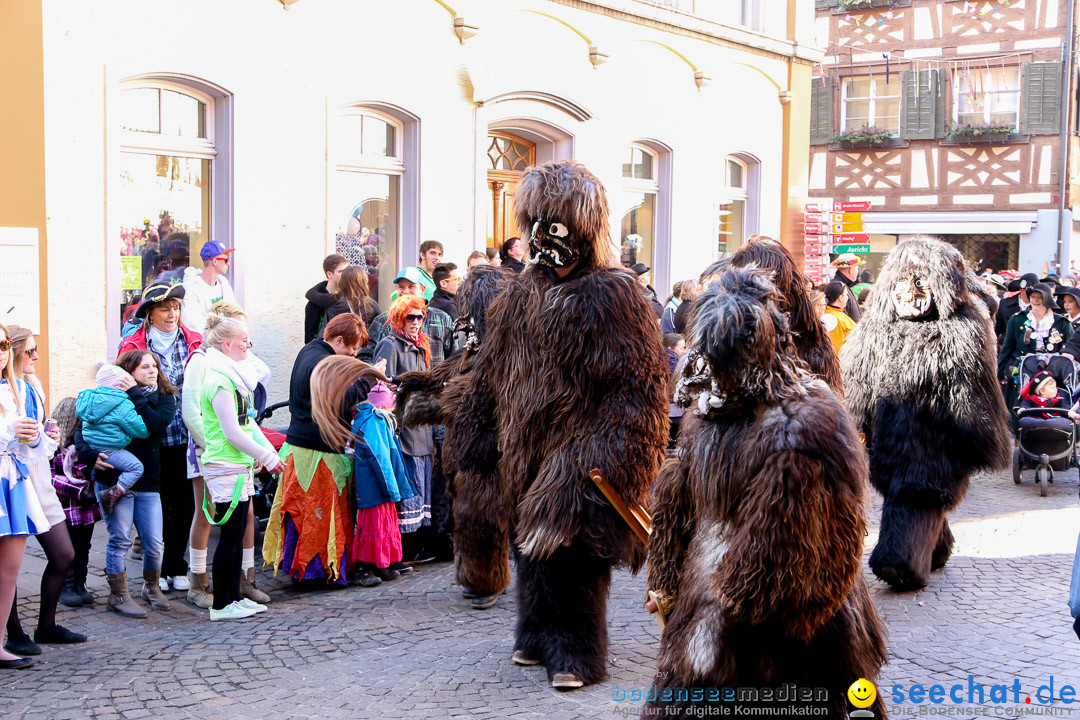 Narrensprung - Narrenbaumsetzen: Meersburg am Bodensee, 23.02.2014