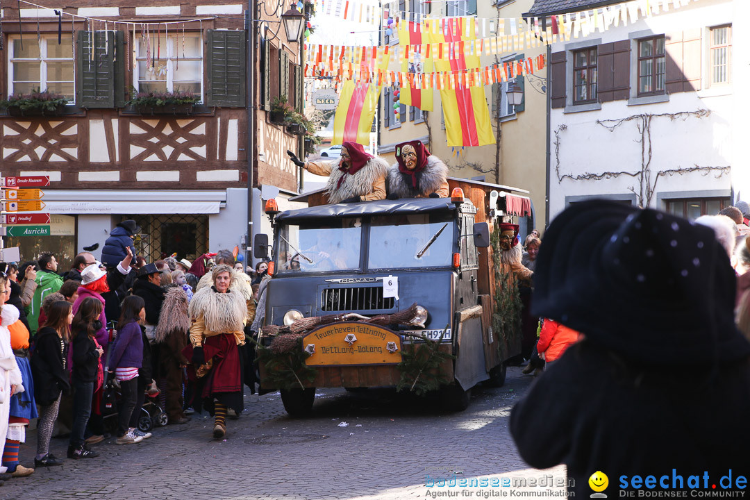 Narrensprung - Narrenbaumsetzen: Meersburg am Bodensee, 23.02.2014