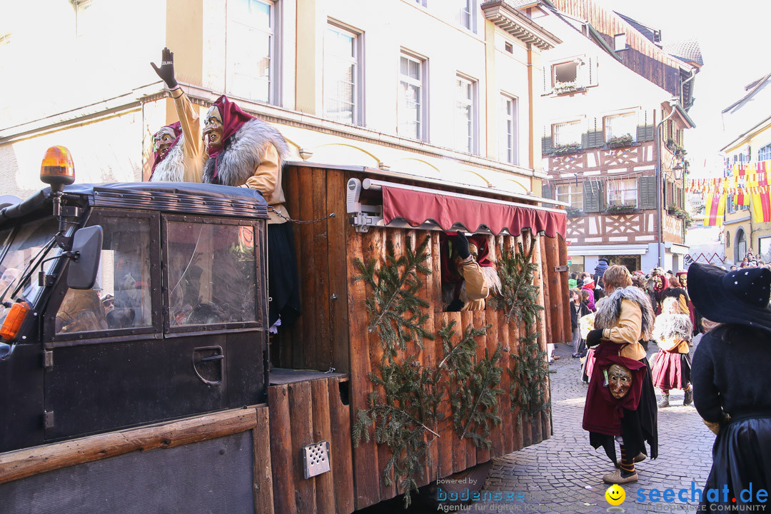 Narrensprung - Narrenbaumsetzen: Meersburg am Bodensee, 23.02.2014