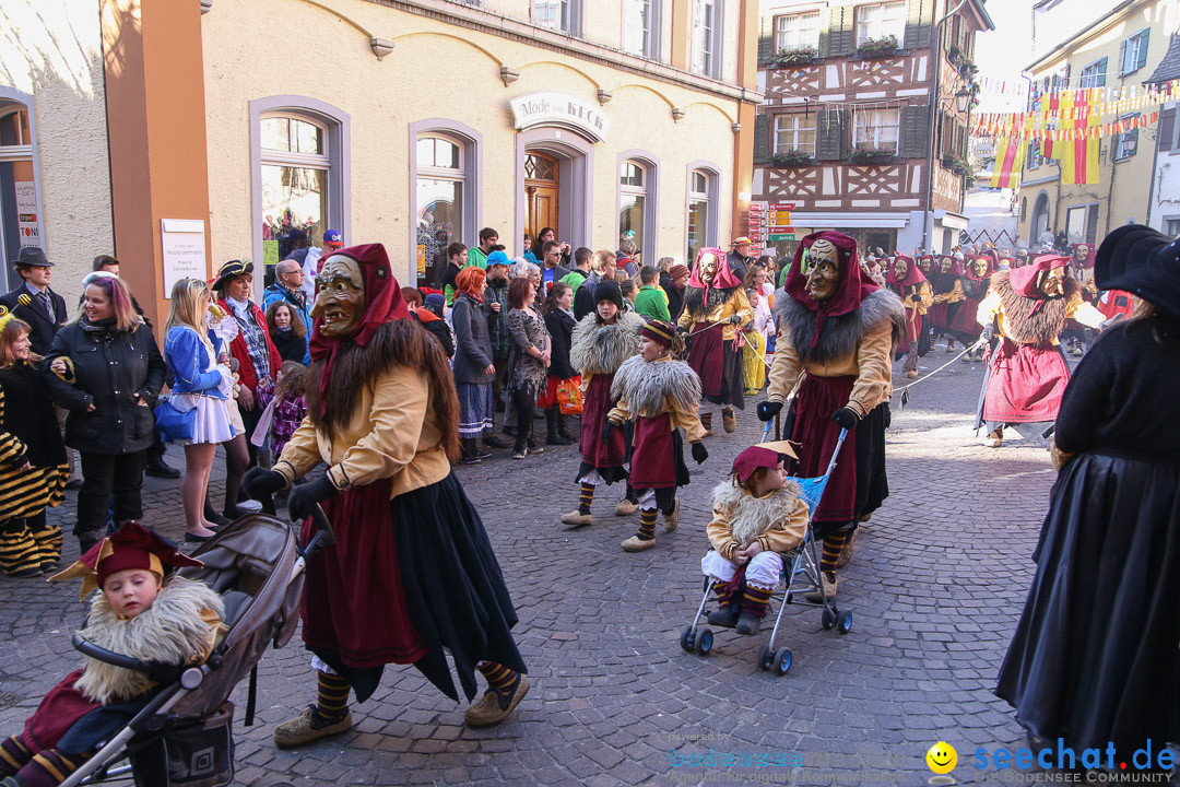 Narrensprung - Narrenbaumsetzen: Meersburg am Bodensee, 23.02.2014
