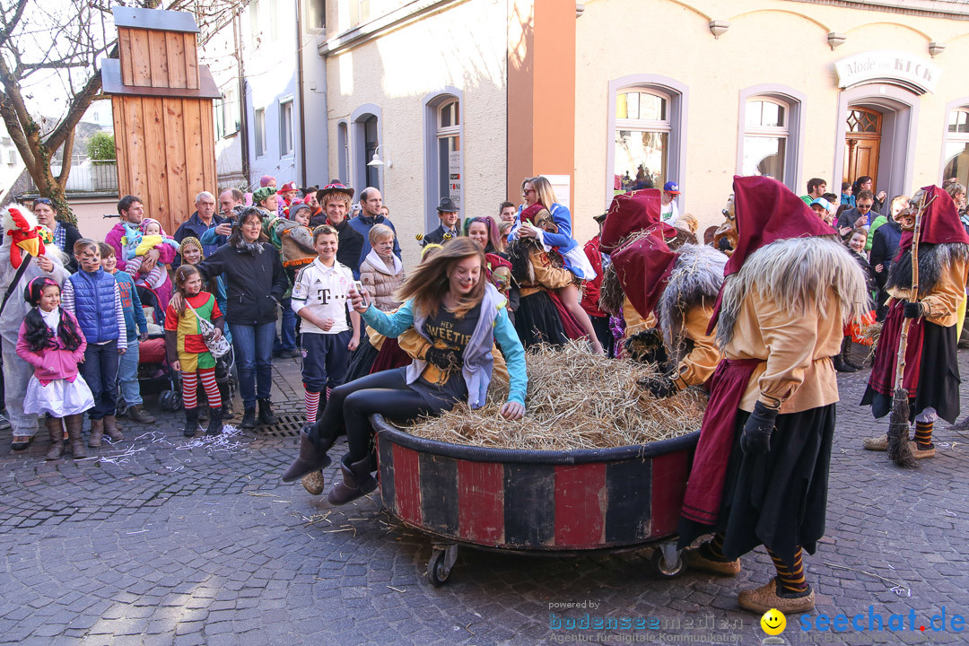 Narrensprung - Narrenbaumsetzen: Meersburg am Bodensee, 23.02.2014