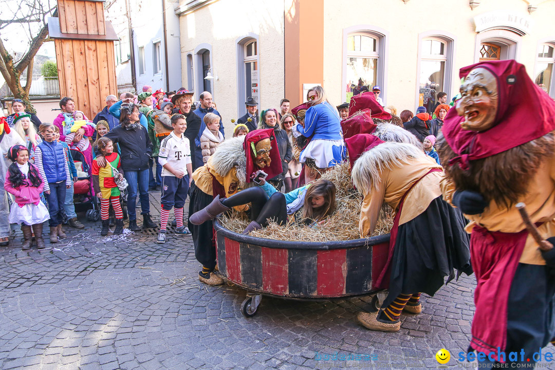 Narrensprung - Narrenbaumsetzen: Meersburg am Bodensee, 23.02.2014