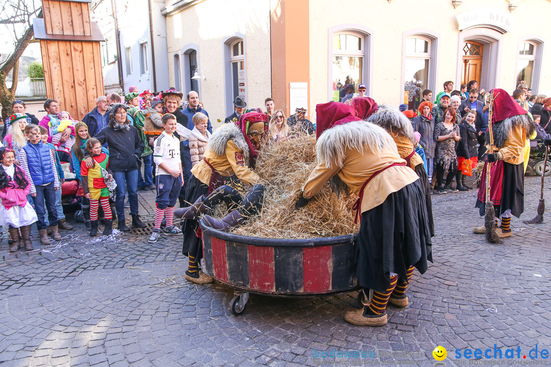 Narrensprung - Narrenbaumsetzen: Meersburg am Bodensee, 23.02.2014