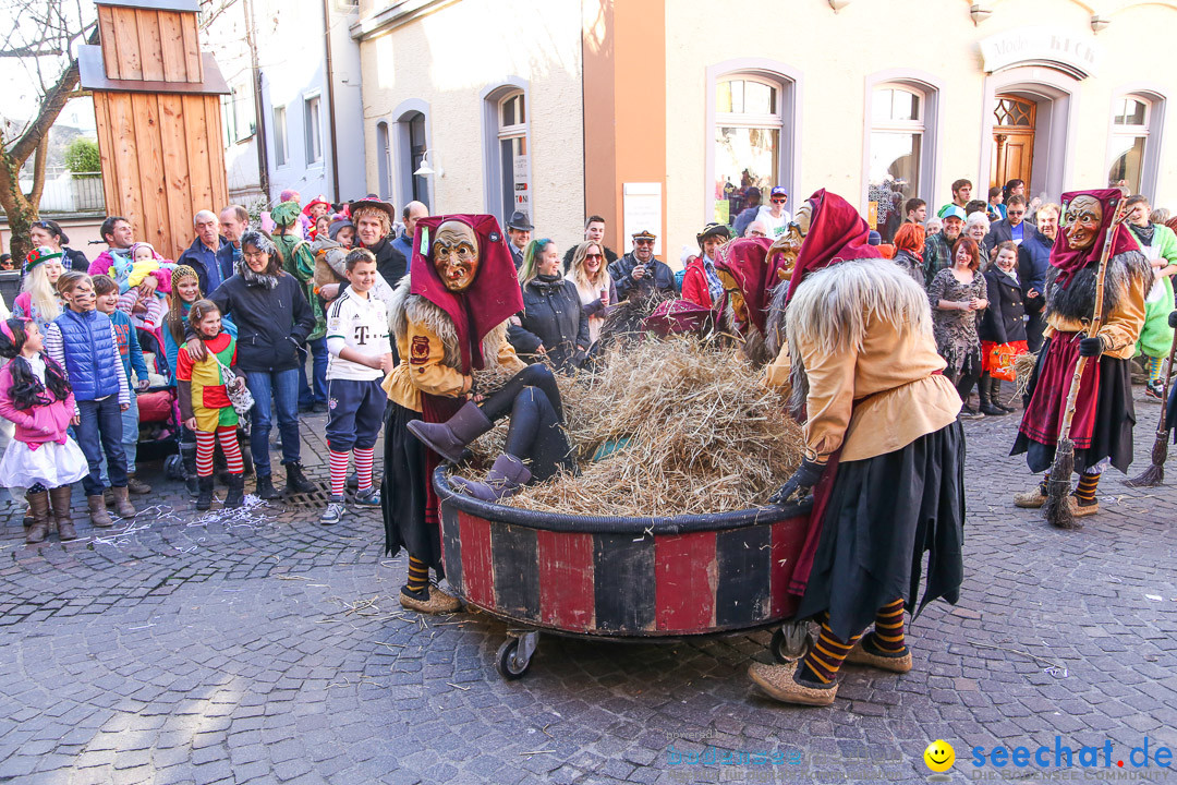 Narrensprung - Narrenbaumsetzen: Meersburg am Bodensee, 23.02.2014