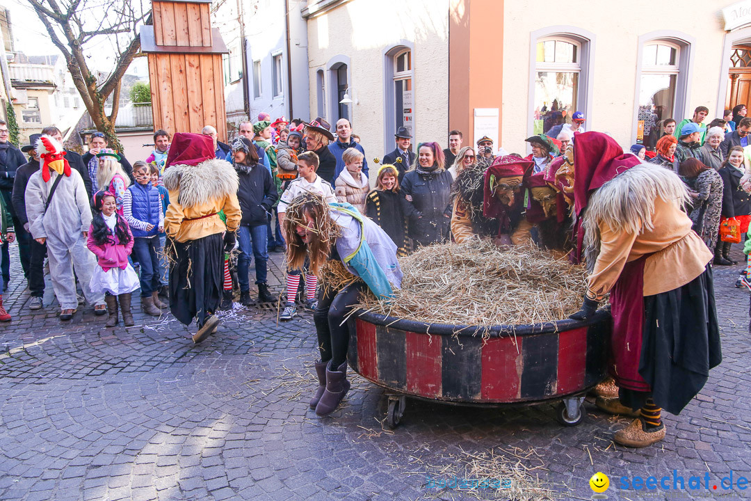 Narrensprung - Narrenbaumsetzen: Meersburg am Bodensee, 23.02.2014