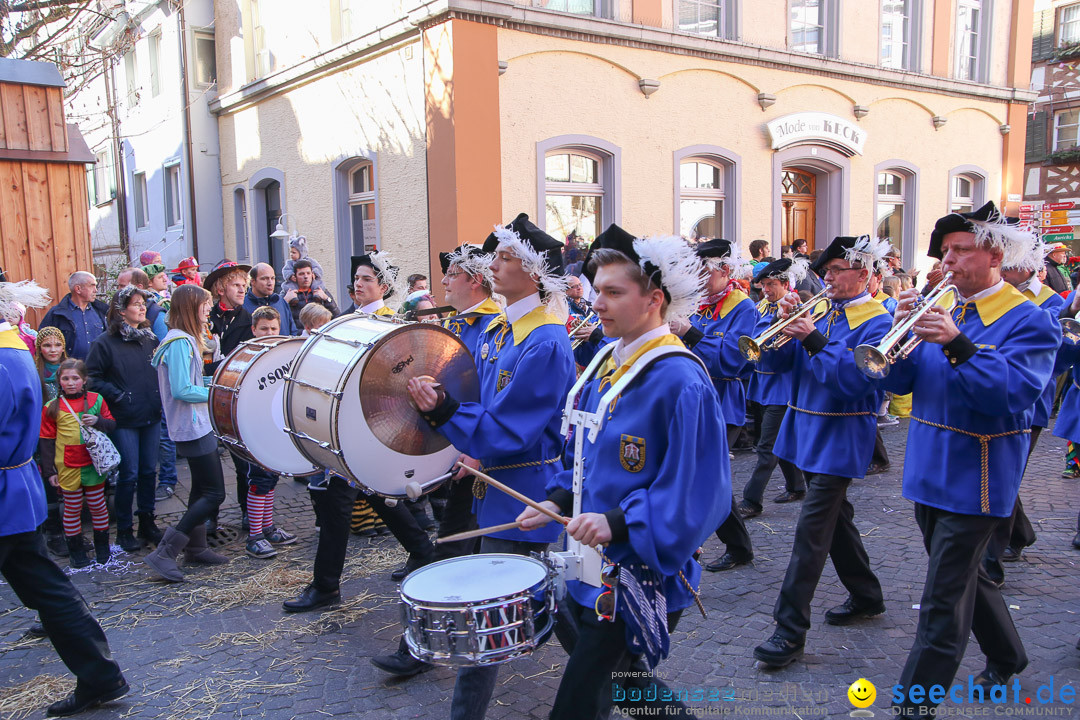 Narrensprung - Narrenbaumsetzen: Meersburg am Bodensee, 23.02.2014