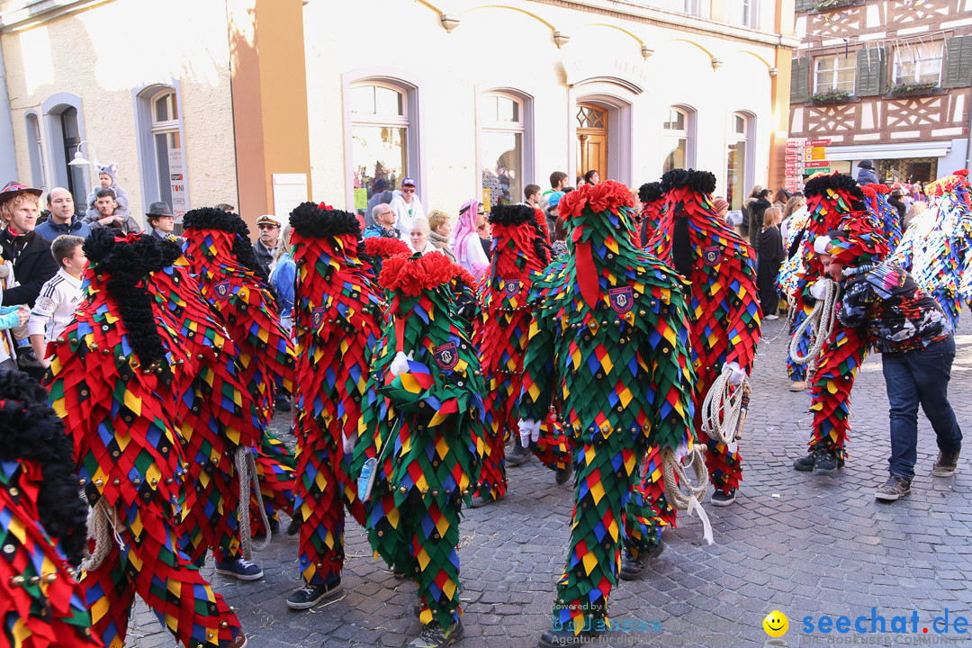 Narrensprung - Narrenbaumsetzen: Meersburg am Bodensee, 23.02.2014