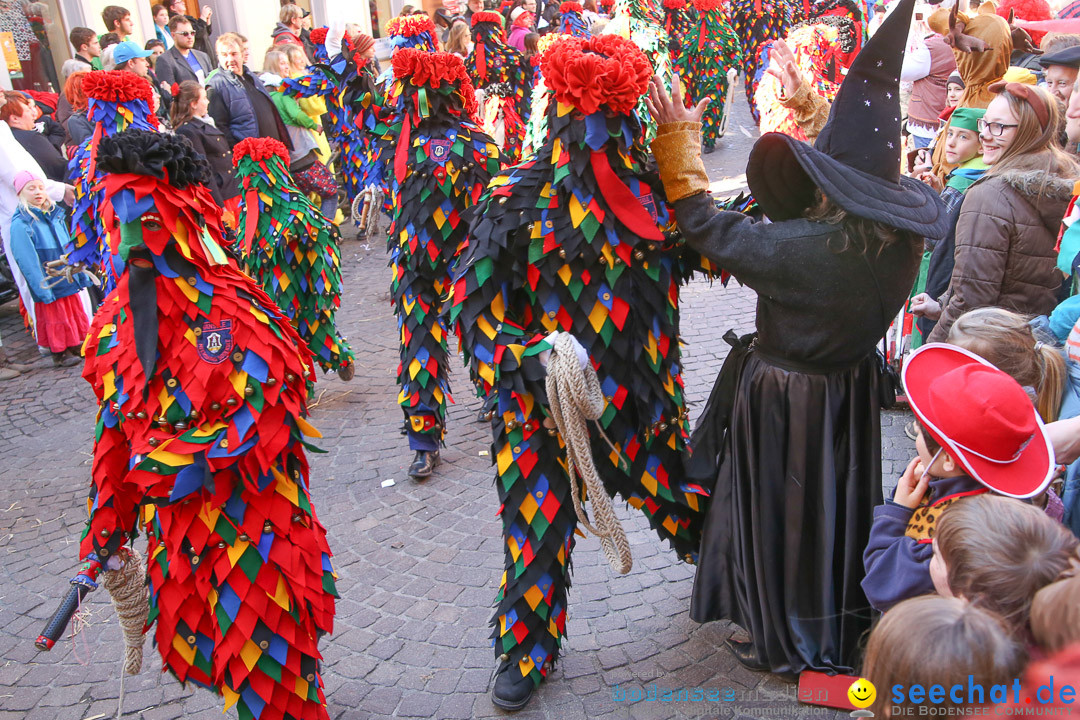 Narrensprung - Narrenbaumsetzen: Meersburg am Bodensee, 23.02.2014
