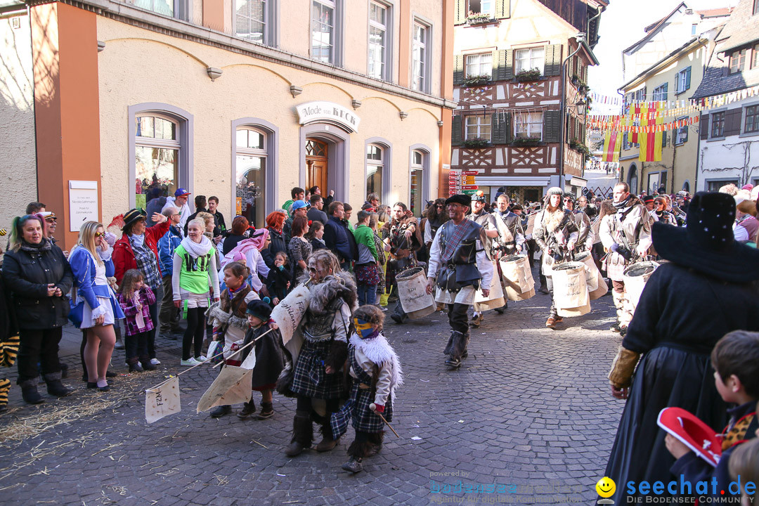 Narrensprung - Narrenbaumsetzen: Meersburg am Bodensee, 23.02.2014