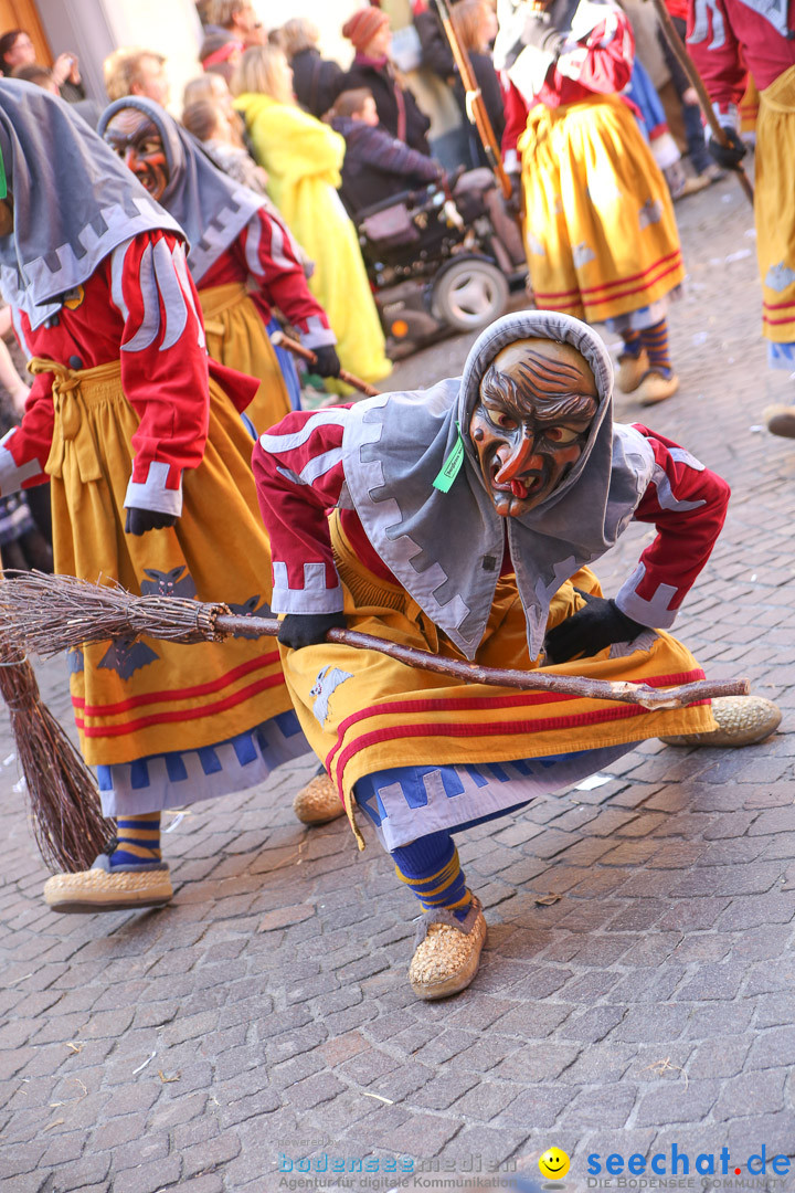 Narrensprung - Narrenbaumsetzen: Meersburg am Bodensee, 23.02.2014