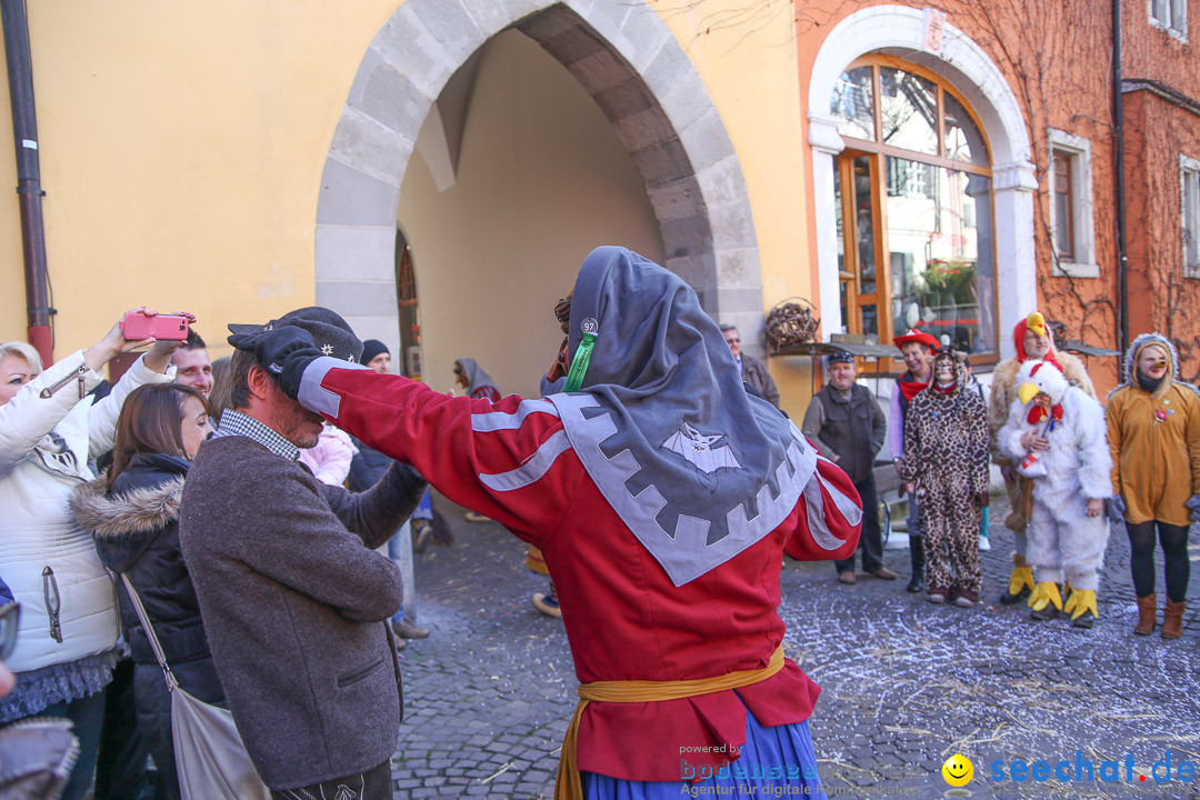 Narrensprung - Narrenbaumsetzen: Meersburg am Bodensee, 23.02.2014