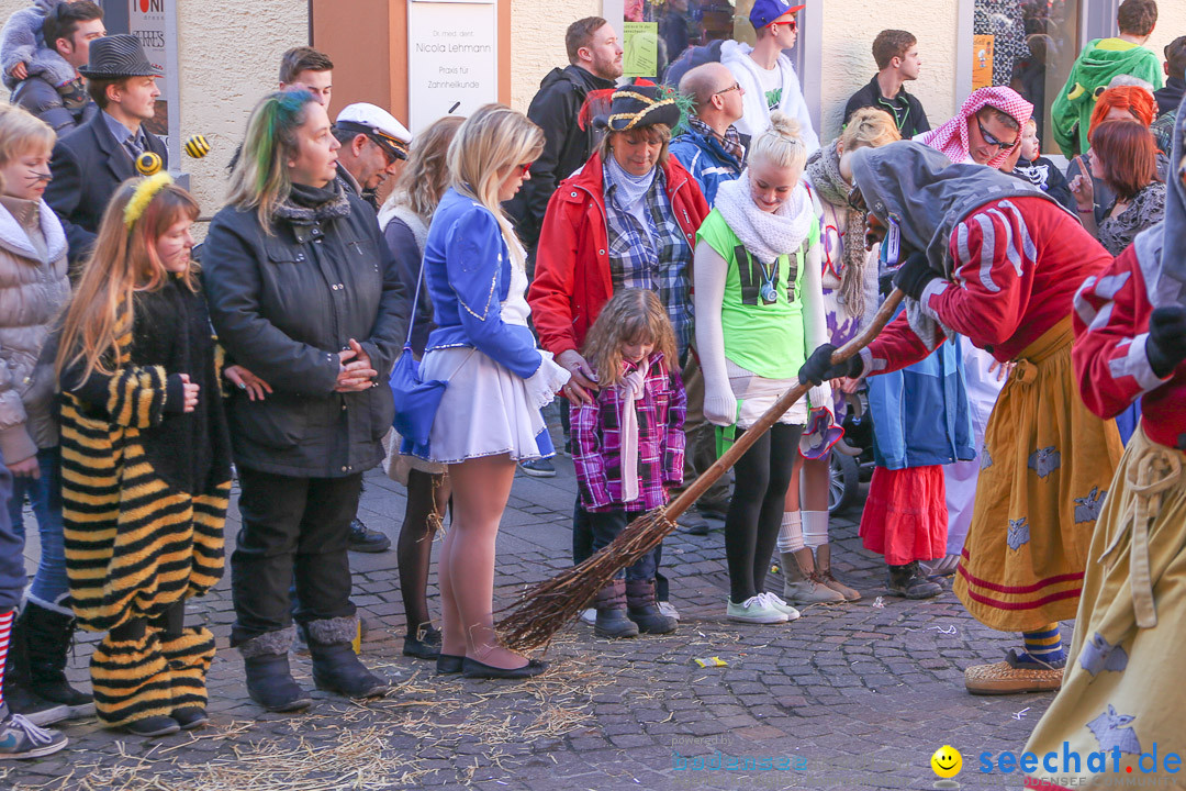 Narrensprung - Narrenbaumsetzen: Meersburg am Bodensee, 23.02.2014