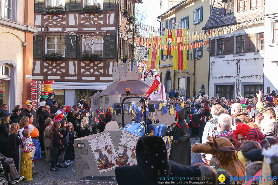 Narrensprung - Narrenbaumsetzen: Meersburg am Bodensee, 23.02.2014