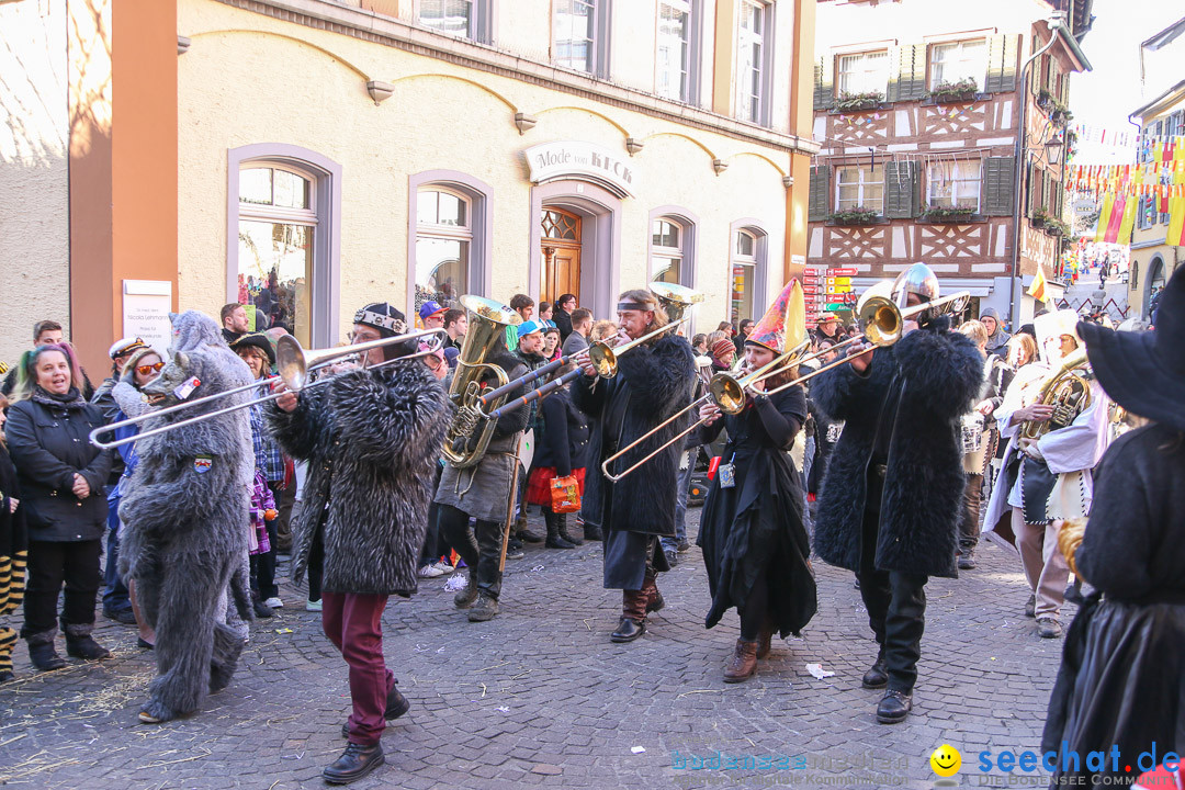 Narrensprung - Narrenbaumsetzen: Meersburg am Bodensee, 23.02.2014