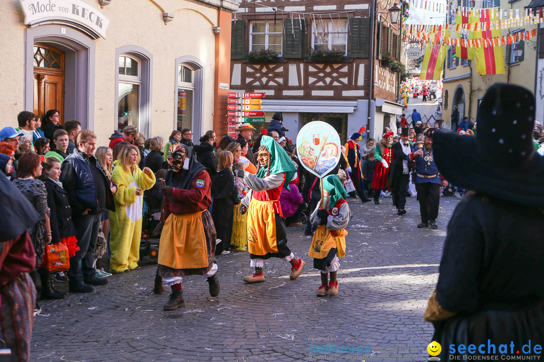 Narrensprung - Narrenbaumsetzen: Meersburg am Bodensee, 23.02.2014
