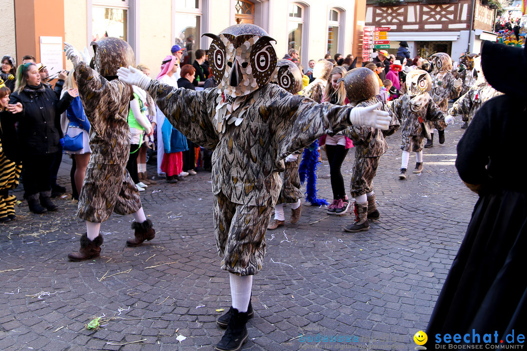 Narrensprung - Narrenbaumsetzen: Meersburg am Bodensee, 23.02.2014
