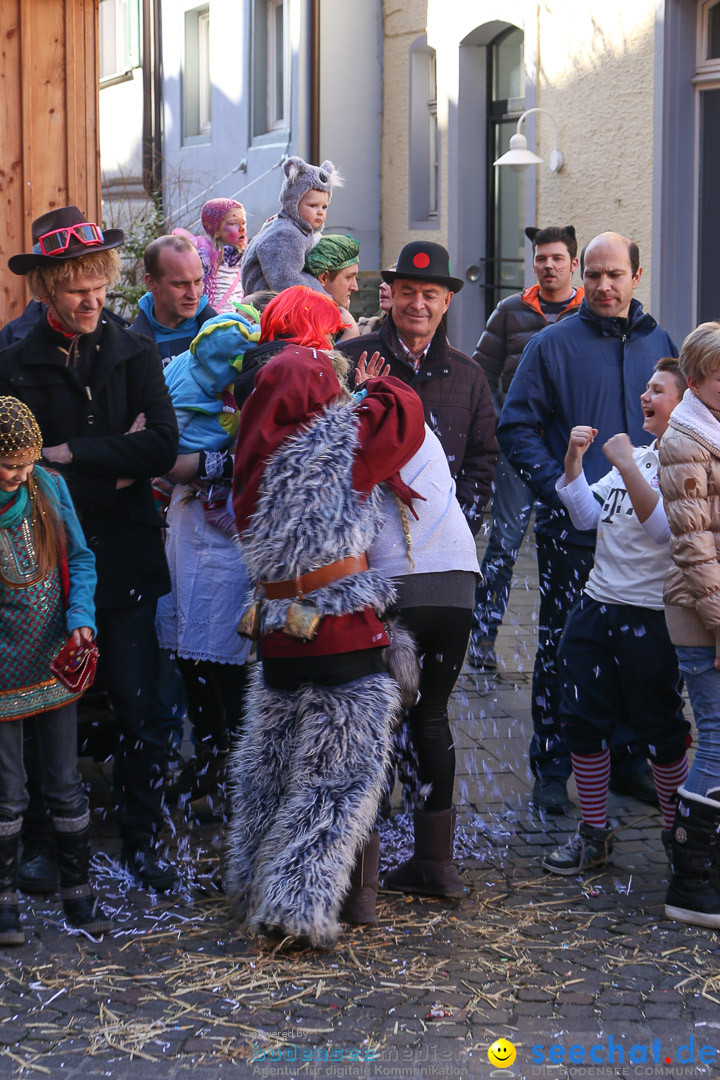 Narrensprung - Narrenbaumsetzen: Meersburg am Bodensee, 23.02.2014