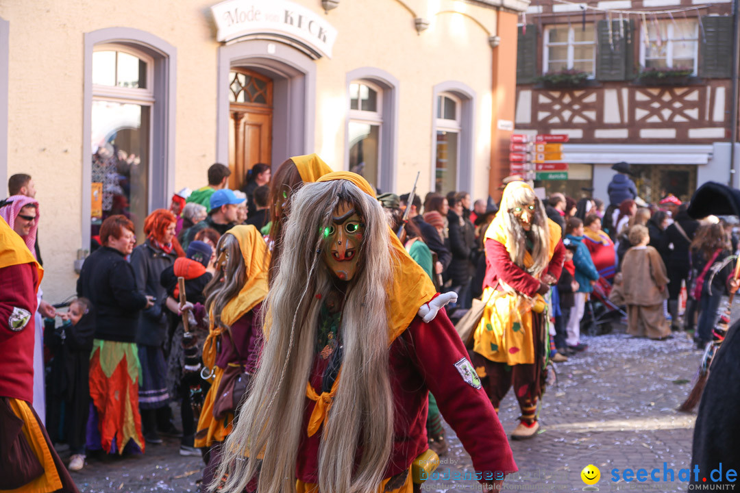 Narrensprung - Narrenbaumsetzen: Meersburg am Bodensee, 23.02.2014