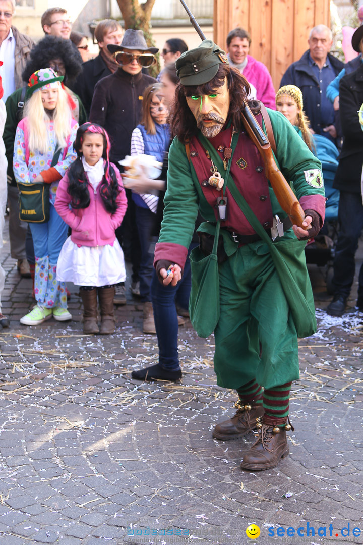 Narrensprung - Narrenbaumsetzen: Meersburg am Bodensee, 23.02.2014