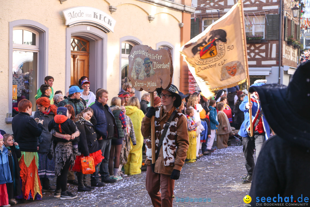 Narrensprung - Narrenbaumsetzen: Meersburg am Bodensee, 23.02.2014
