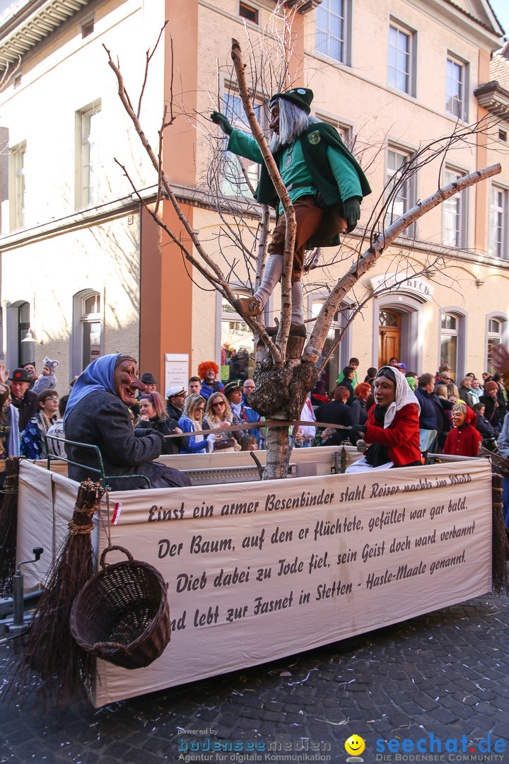 Narrensprung - Narrenbaumsetzen: Meersburg am Bodensee, 23.02.2014