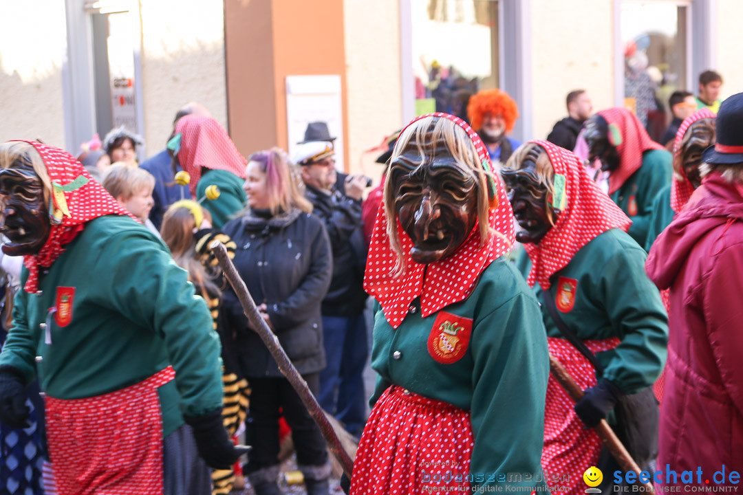 Narrensprung - Narrenbaumsetzen: Meersburg am Bodensee, 23.02.2014