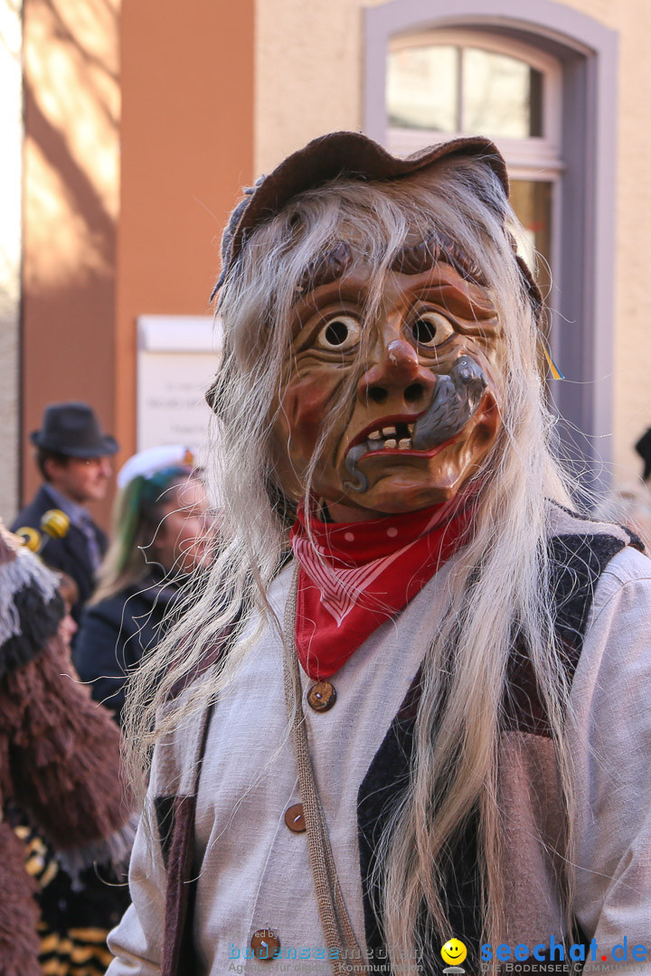 Narrensprung - Narrenbaumsetzen: Meersburg am Bodensee, 23.02.2014