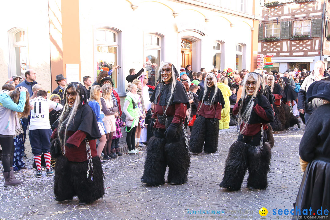 Narrensprung - Narrenbaumsetzen: Meersburg am Bodensee, 23.02.2014