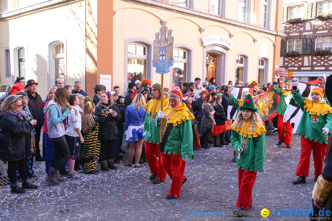 Narrensprung - Narrenbaumsetzen: Meersburg am Bodensee, 23.02.2014