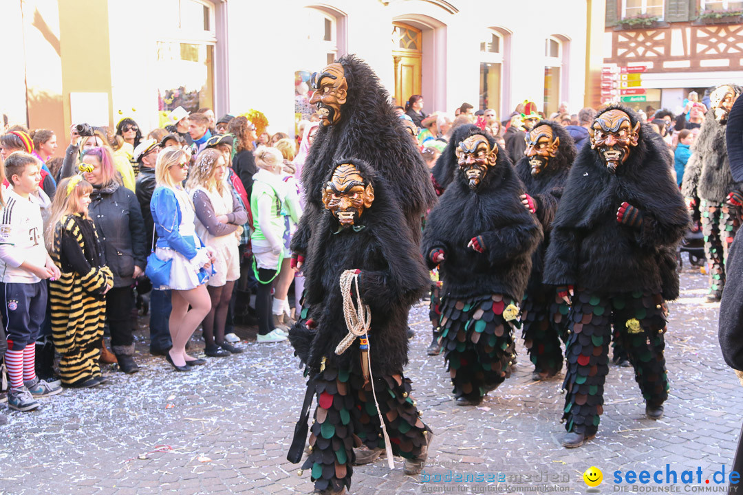 Narrensprung - Narrenbaumsetzen: Meersburg am Bodensee, 23.02.2014