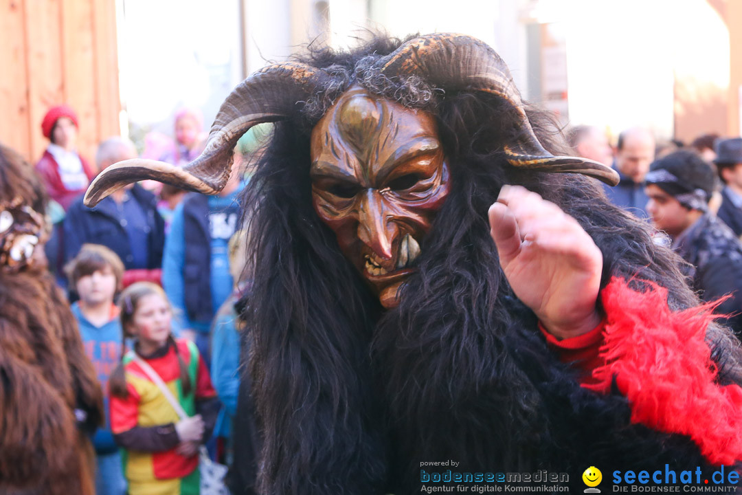 Narrensprung - Narrenbaumsetzen: Meersburg am Bodensee, 23.02.2014