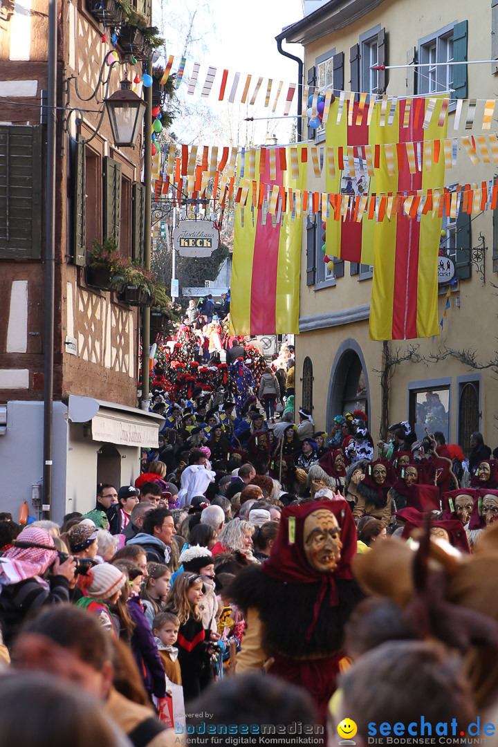 Narrensprung - Narrenbaumsetzen: Meersburg am Bodensee, 23.02.2014