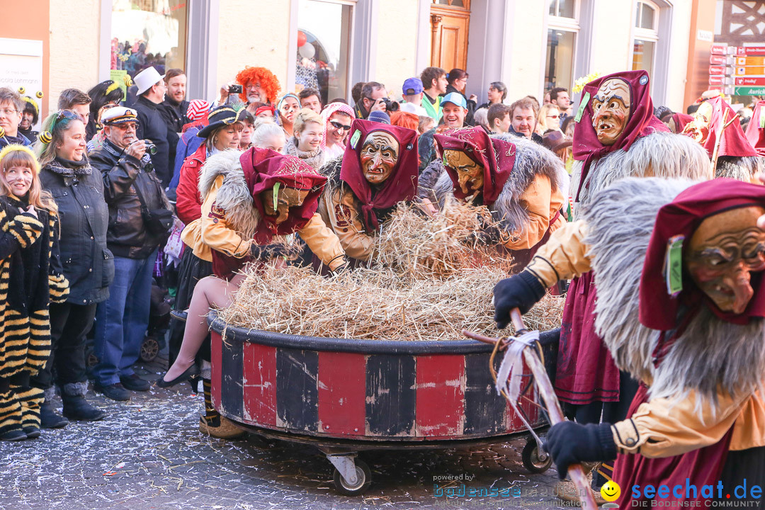 Narrensprung - Narrenbaumsetzen: Meersburg am Bodensee, 23.02.2014