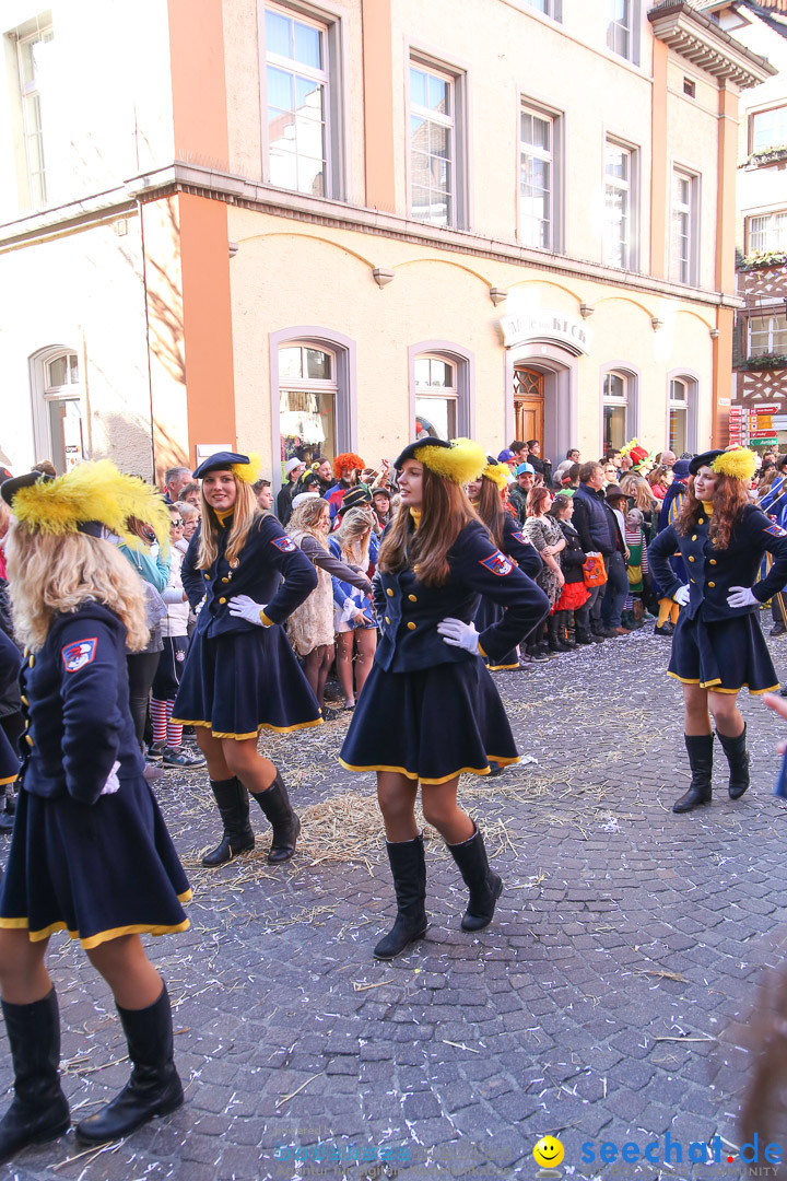 Narrensprung - Narrenbaumsetzen: Meersburg am Bodensee, 23.02.2014