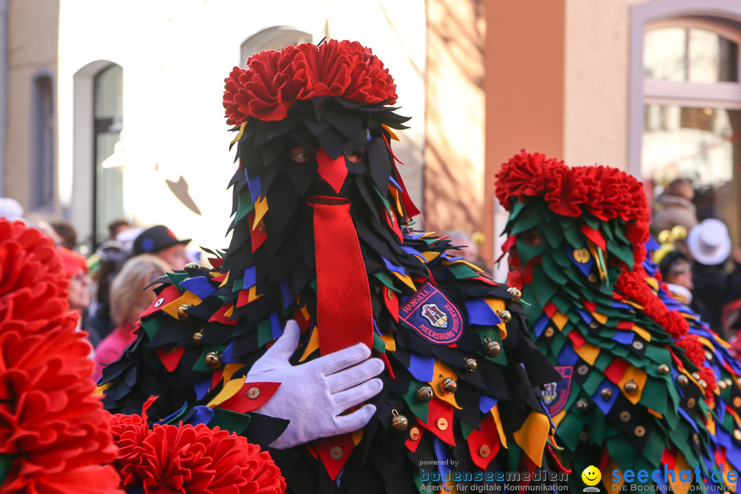 Narrensprung - Narrenbaumsetzen: Meersburg am Bodensee, 23.02.2014