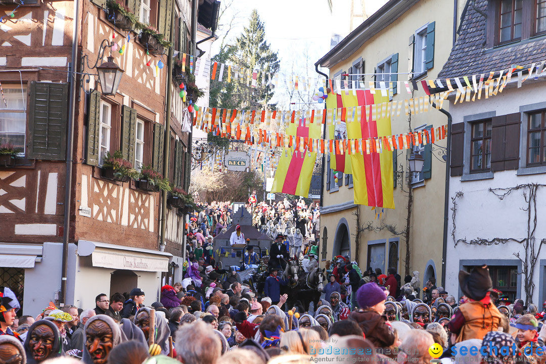 Narrensprung - Narrenbaumsetzen: Meersburg am Bodensee, 23.02.2014